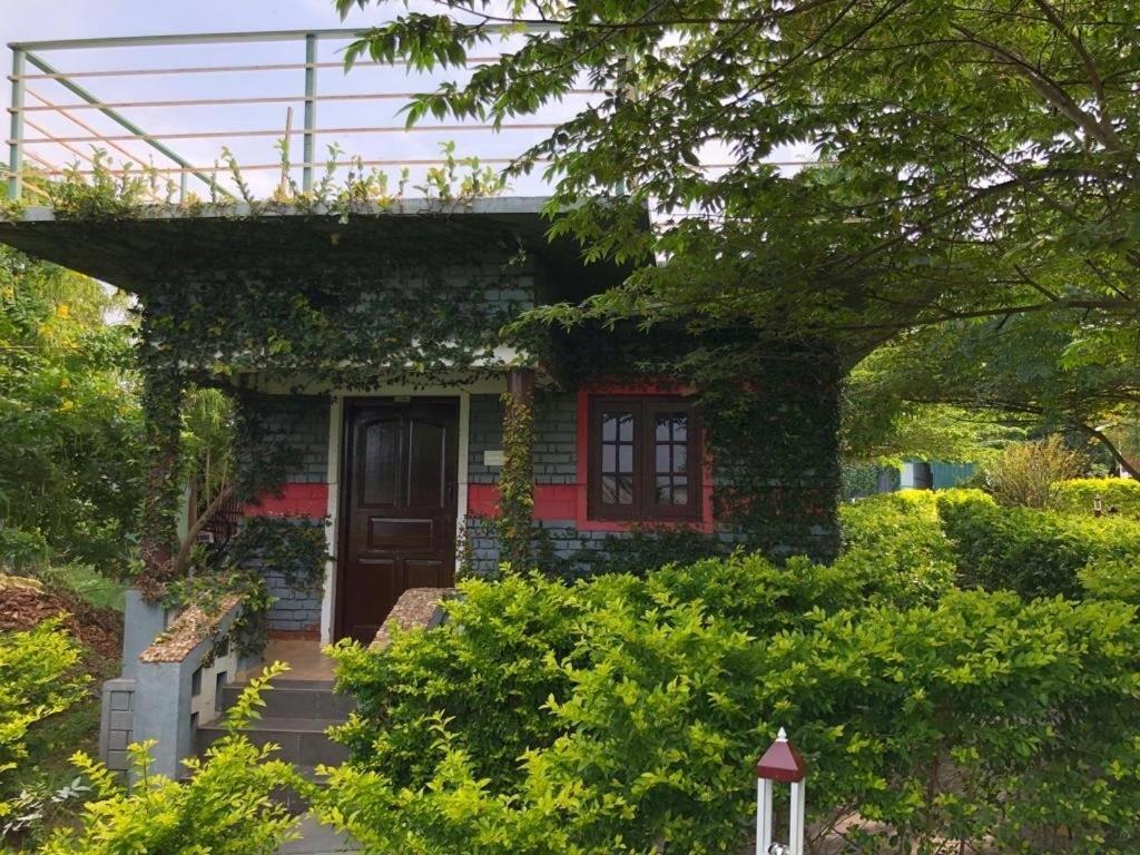 Chalets Resort Masinagudi Ooty Exterior foto