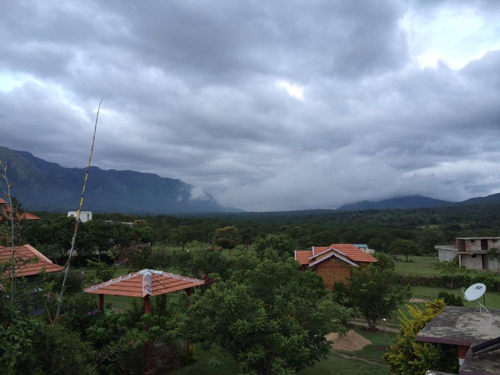Chalets Resort Masinagudi Ooty Exterior foto